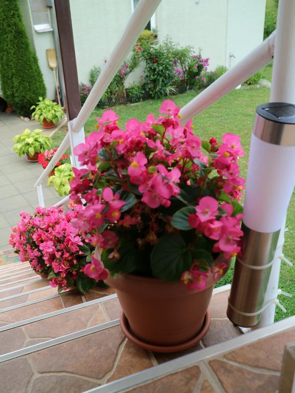 Apartment Luka Kuterevo Εξωτερικό φωτογραφία